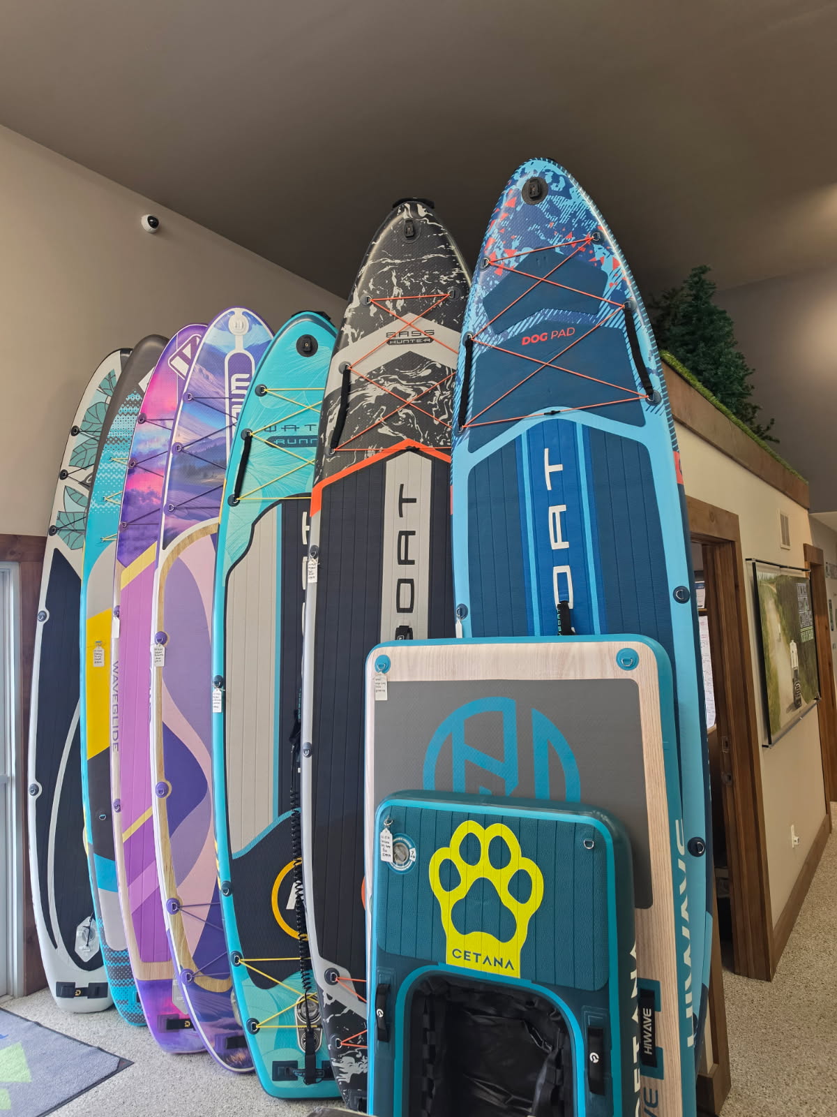 Multiple Paddle Boards